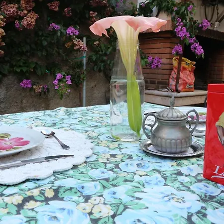 Casa Elena E Sul Di Garda Bed and breakfast Gargnano